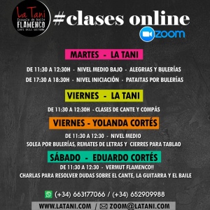 Clases de Flamenco: 1 Hora/semana (4 horas/mes)